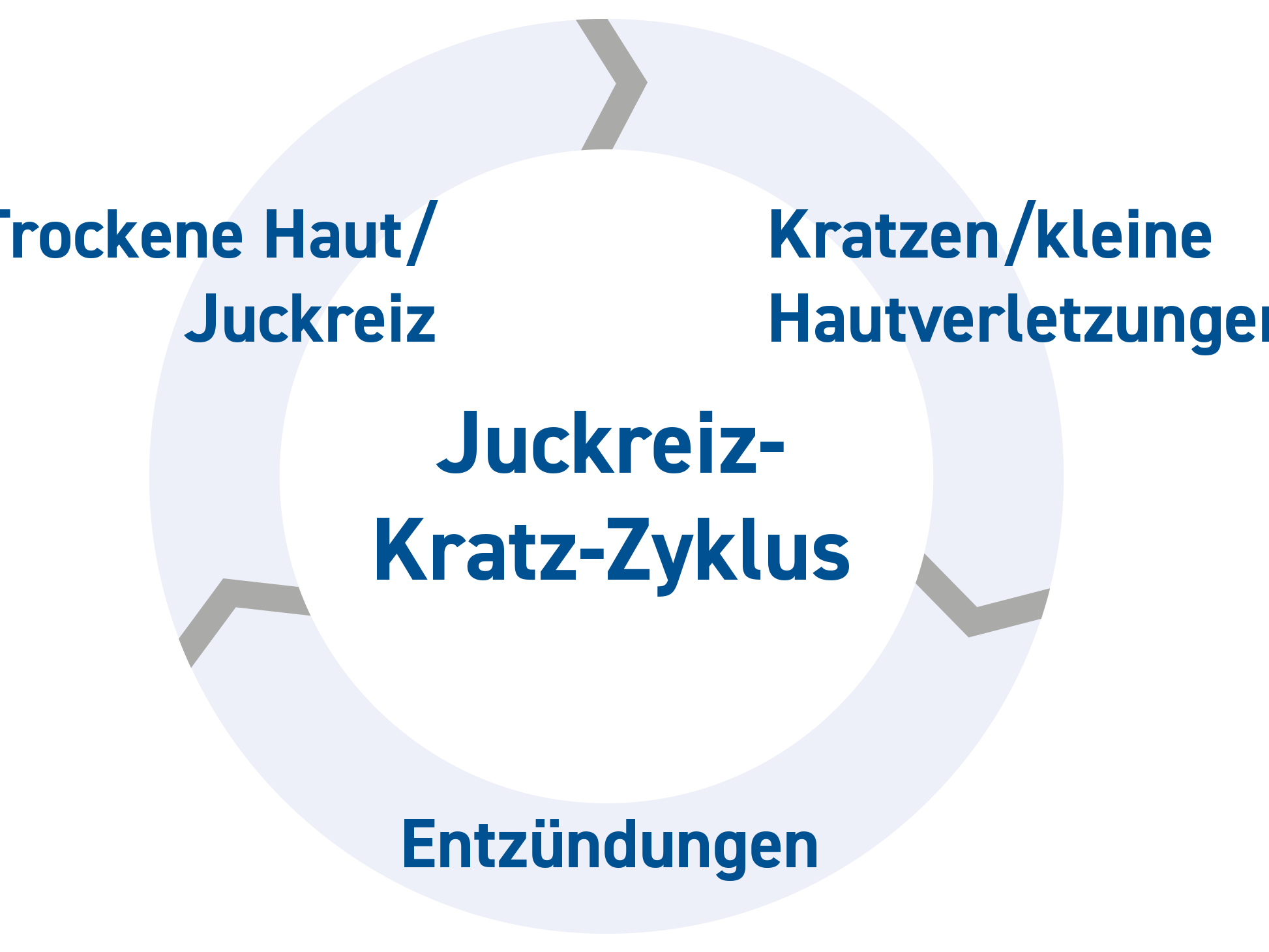 Der Teufelskreis „Juckreiz“ beginnt. Die richtige Behandlung mit Hydrocortison, wie Ebenol®, kann diesen Teufelskreis unterbrechen.